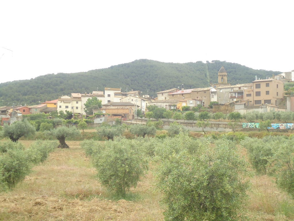 Casa Felisa Pirineo Aragones Villa Santa Eulalia de Gállego Kamer foto